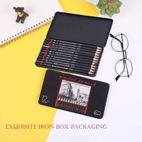 Radhha 12 PCS Professional Art Pencil Kit | Sketching, Shading & Drawing Pencil Set with Iron Box